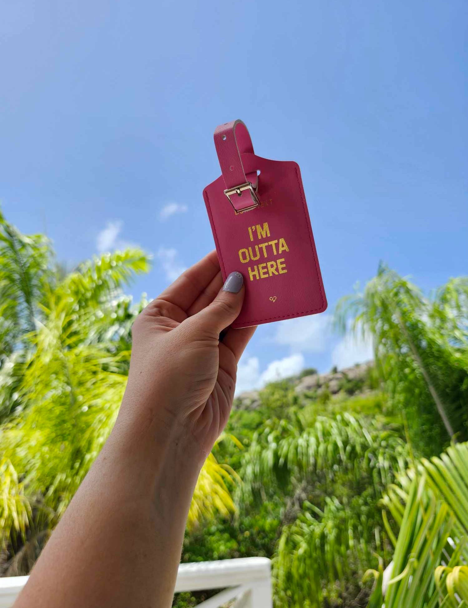 Don't Text Luggage Tag