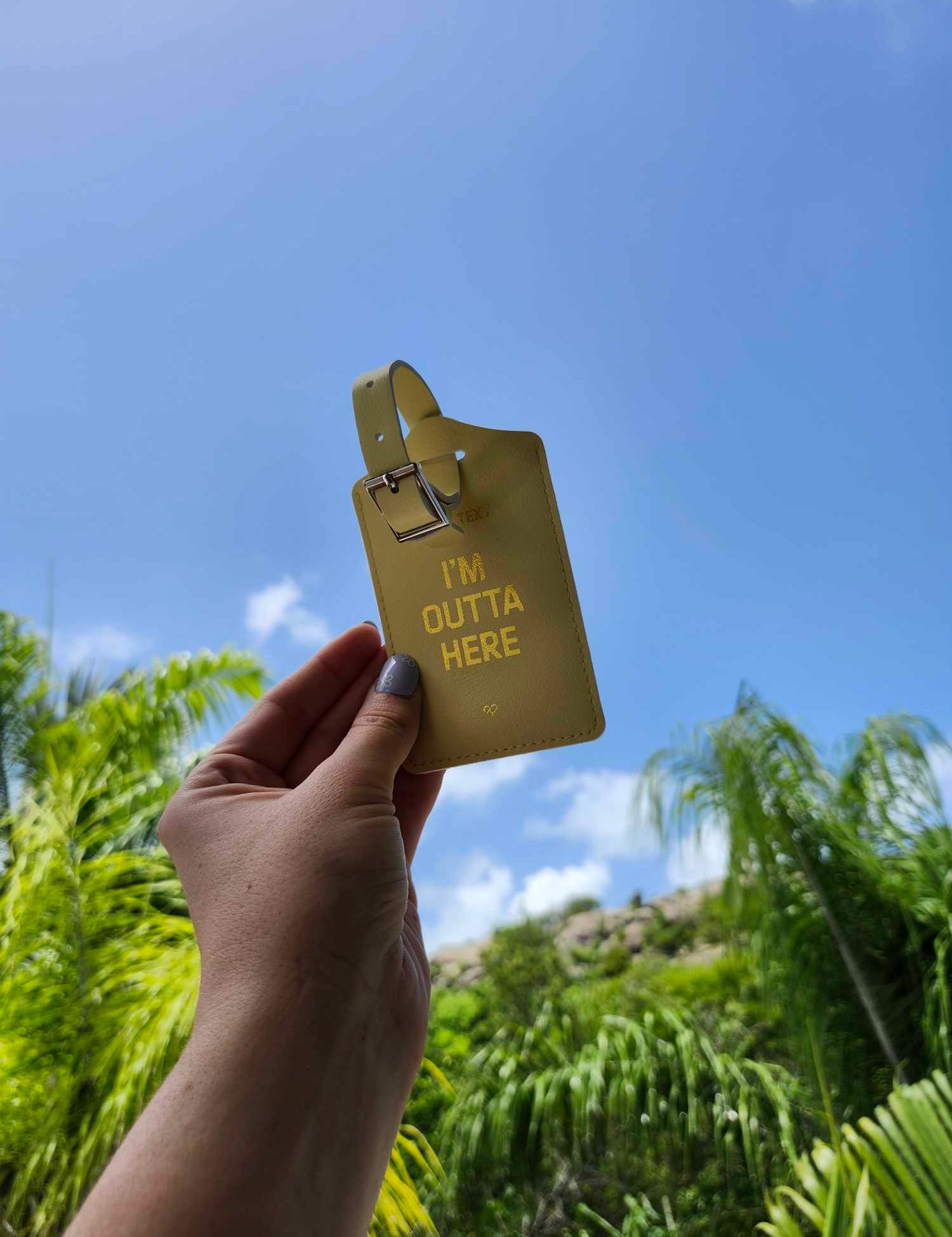 Don't Text Luggage Tag