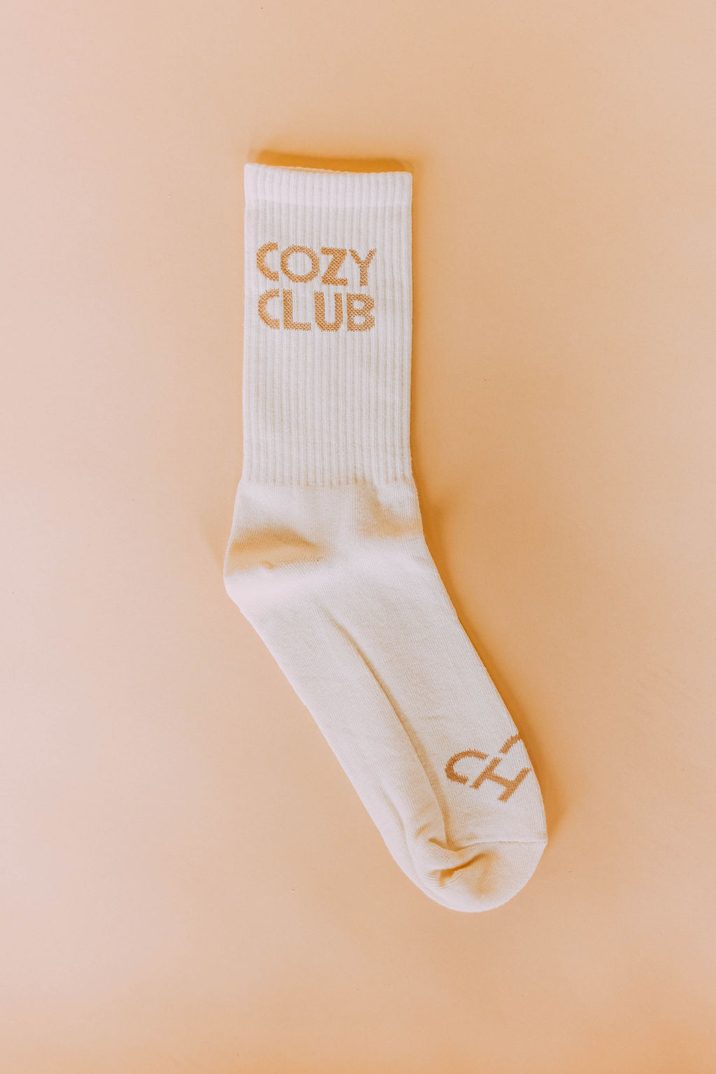 Cozy Club Socks