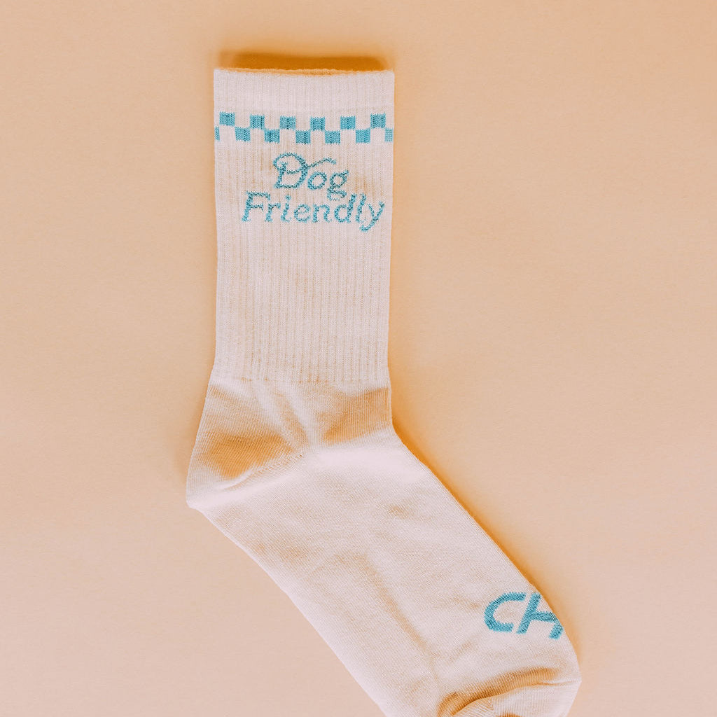 Dog Friendly Checkered Socks, single cream crew sock with blue checkered band and Dog Friendly text, flat lay on peach